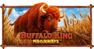 ภาพเกม Buffalo King Megaways ที่ jeed168 รวบรวมไว้